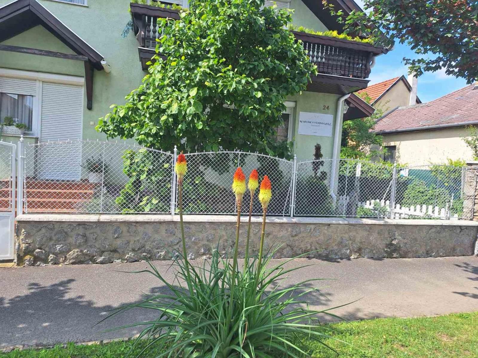Hotel Rohonci Vendeghaz Kőszeg Exterior foto